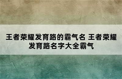 王者荣耀发育路的霸气名 王者荣耀发育路名字大全霸气